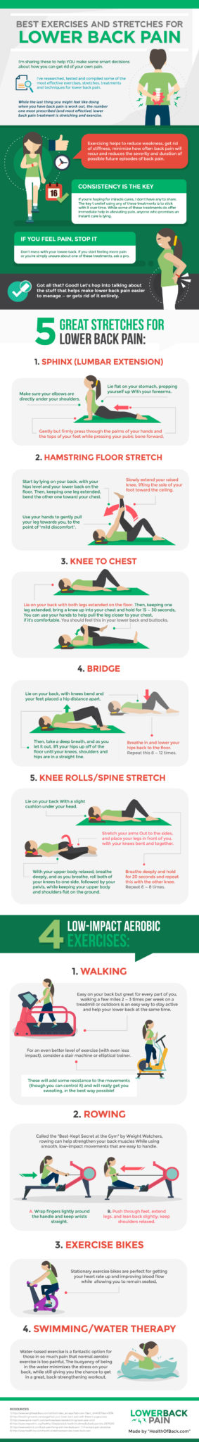 https://businesstravellife.com/wp-content/uploads/2016/06/9-Best-Exercises-and-Stretches-for-Lower-Back-Pain-HD-1.jpg