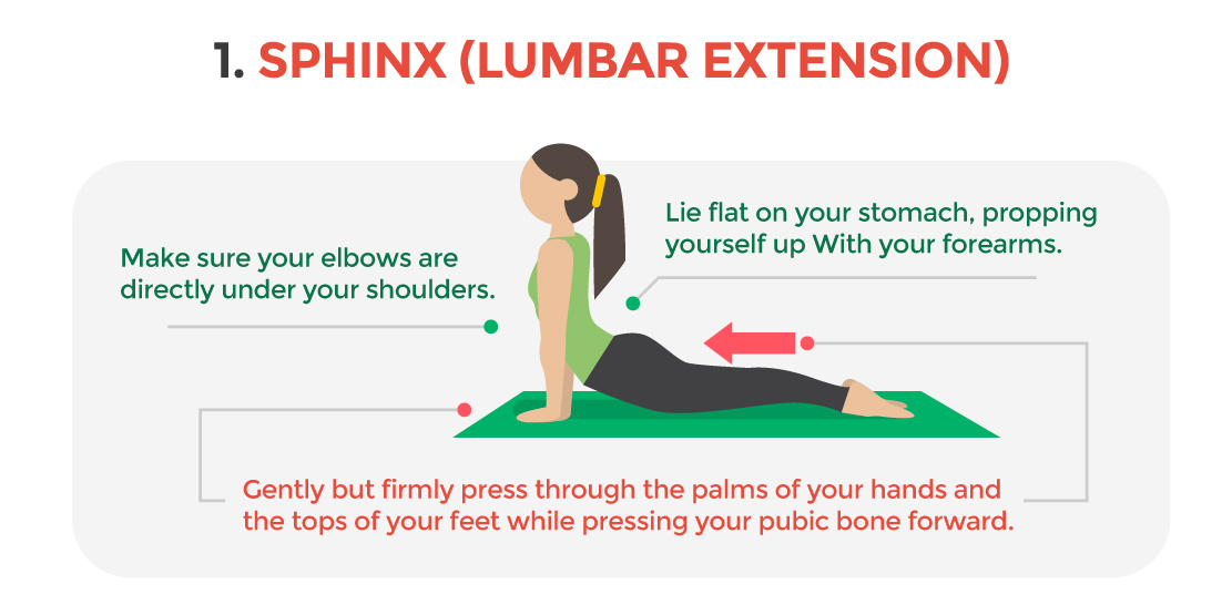 Lower back exercises online while sitting