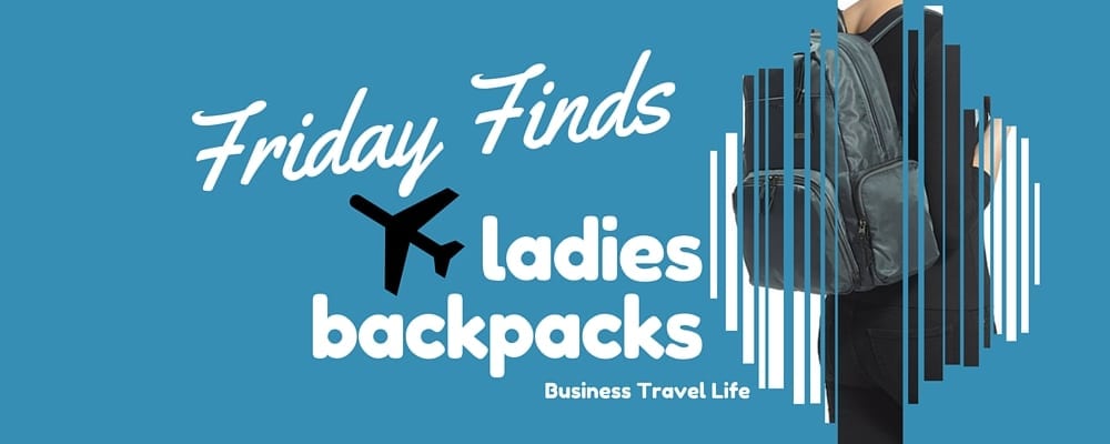 professional womens backpack business travel 20