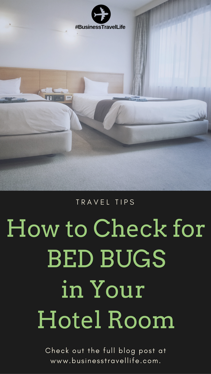 bed bugs business travel