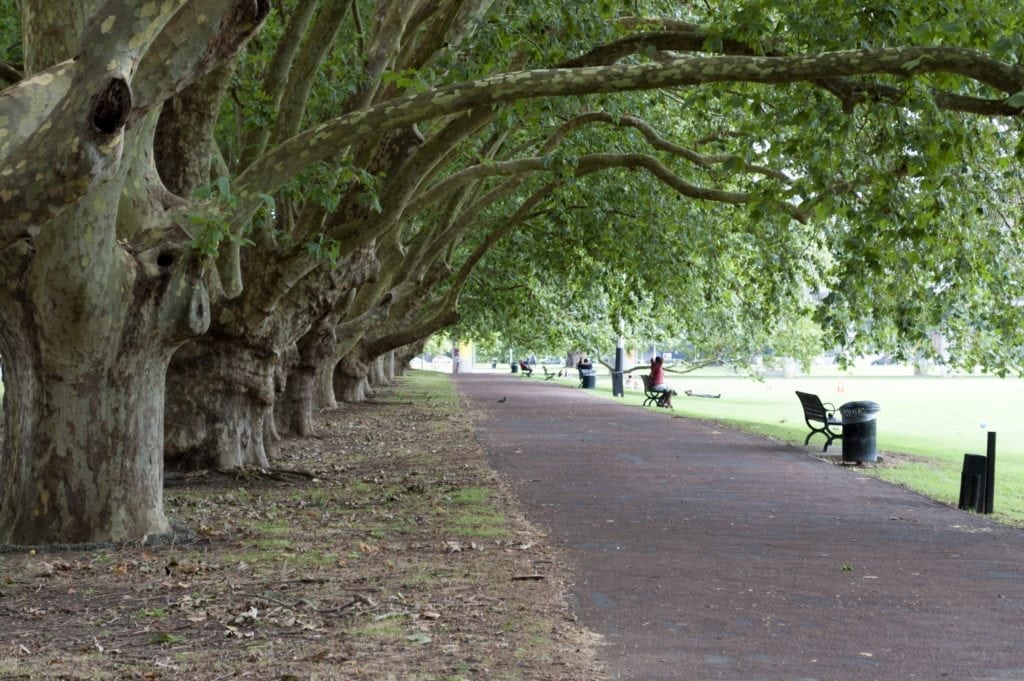 Auckland City, Victoria Park, Business Travel Life