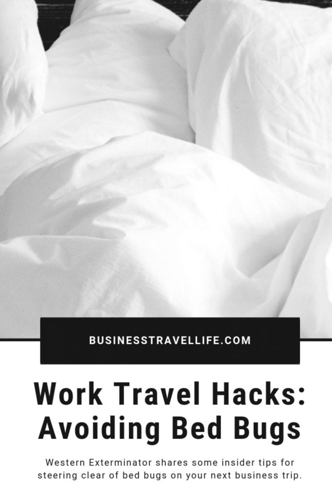 Avoid bed bugs, business travel life 8