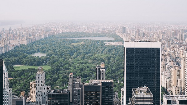 48 Hours in New York City