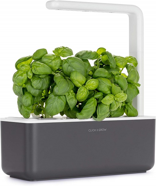 best gifts for travelers indoor garden